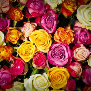 Bouquet Of Long Stem Roses