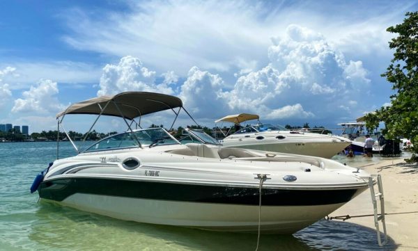 26' Searay sundeck - Image 2