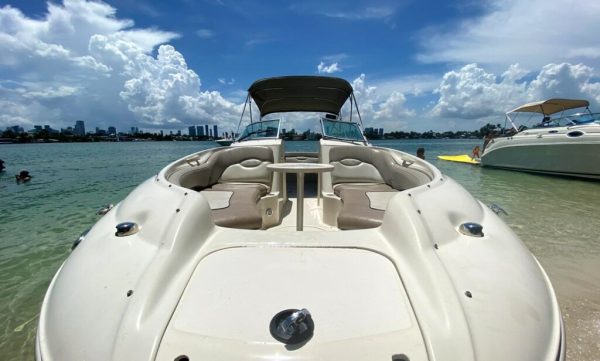 26' Searay sundeck - Image 3