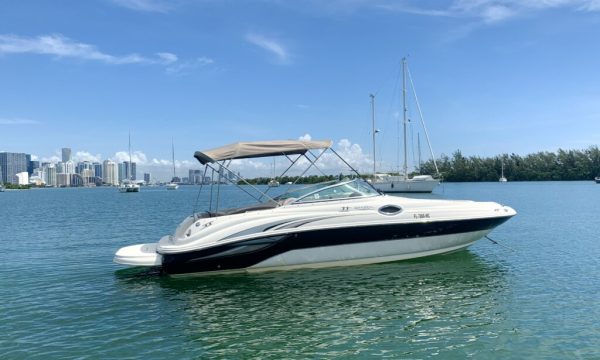 26' Searay sundeck - Image 4