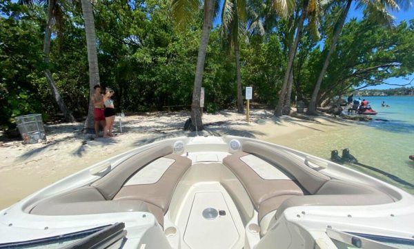26' Searay sundeck - Image 5