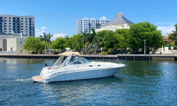 37' Searay sundancer - Image 2