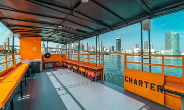 40' Party boat - Image 5