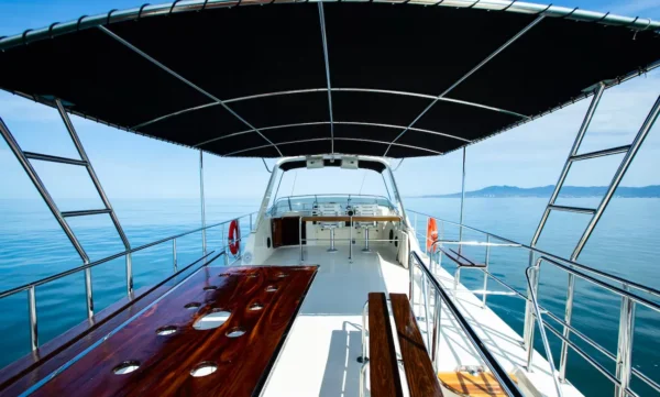58' Hattera - Image 3