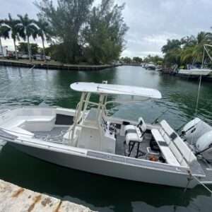 23' Custom Formula Thunderbird
