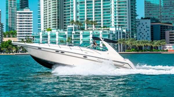 45' Maxum