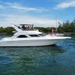 50' SeaRay Express Flybridge