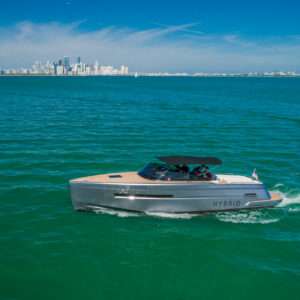 36' Canard (Hybrid) 2020