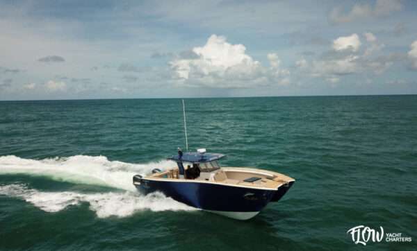38' Wolfcat 2023